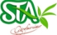 logo sta